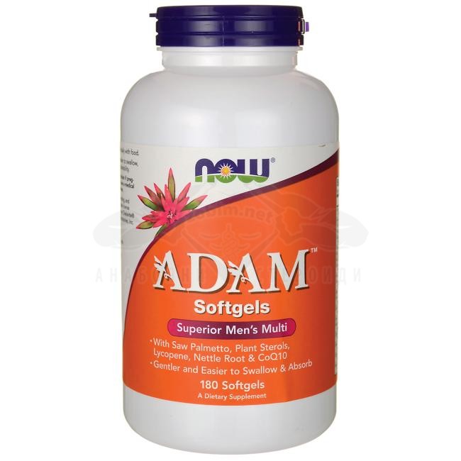 АДАМ Adam