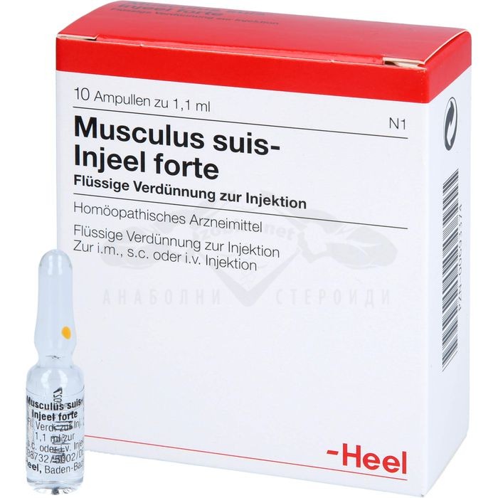 Musculus Suis-Injeel forte (Testis Suis) - 1 fiala