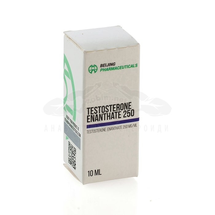 Testosterone Enanthate – 10 ml. x 250 mg.