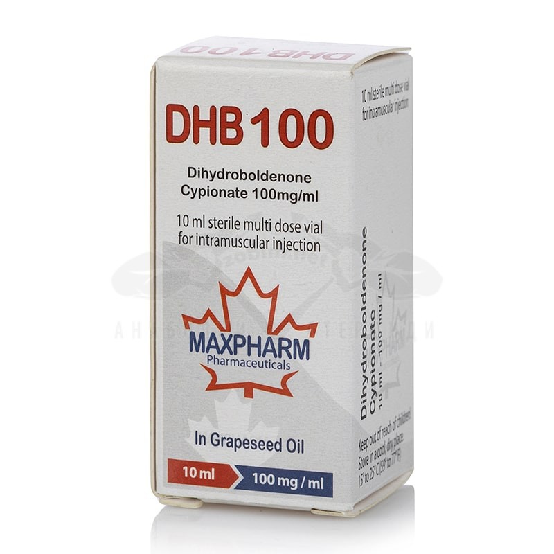 DHB 100 (Dihydroboldenone Cyionate) - 10 ml. x 100 mg. - immagine 3