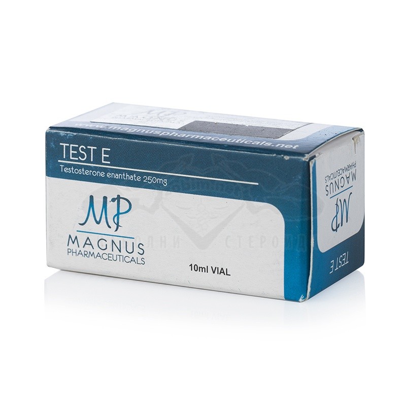 Test E 250 (Testosterone Enantato) - 10 ml. x 250 mg. - immagine 2