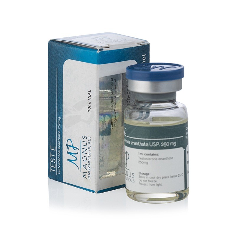 Test E 250 (Testosterone Enantato) - 10 ml. x 250 mg.