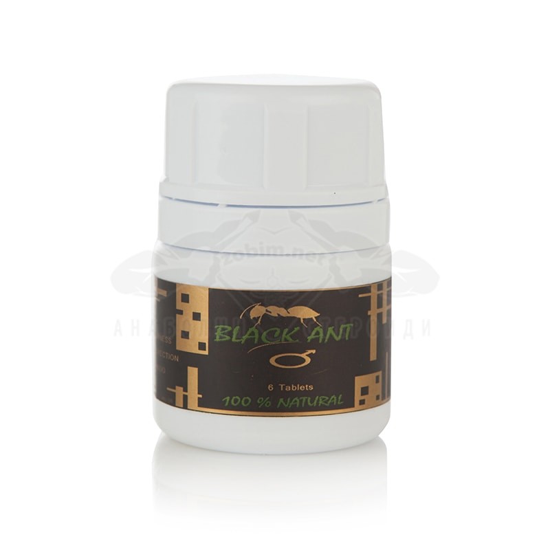 Black Ant