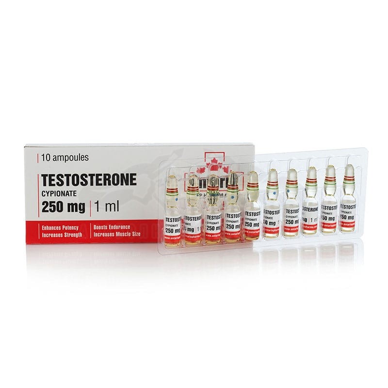 Testosterone Cypionate – 10 fiale x 250 mg.