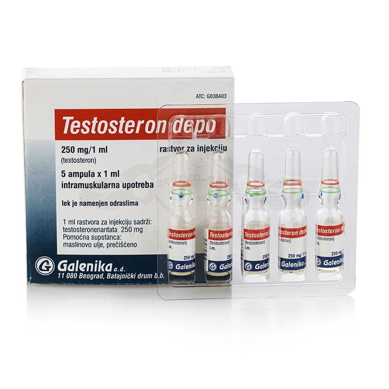 TESTOSTERONE DEPO (Testosterone Enantato) - 5 fiale x 250 mg. - immagine 2