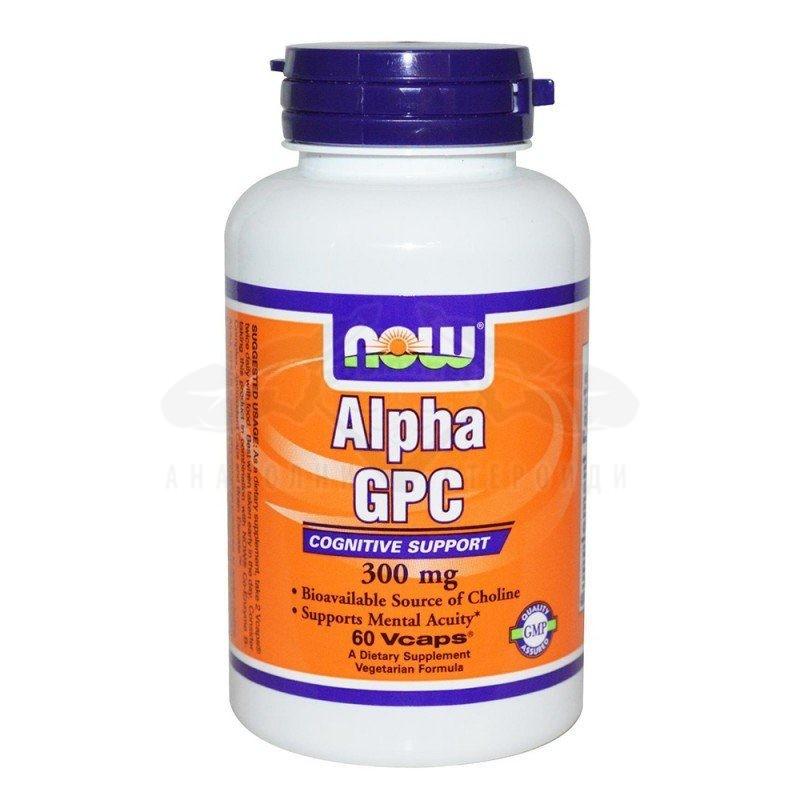 Alpha GPC – 60 compresse x 300 mg.
