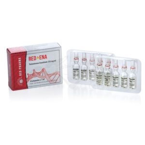 RED ENA 250 (Testosterone Enanthate) - 10 fiale x 250 mg. - immagine 3