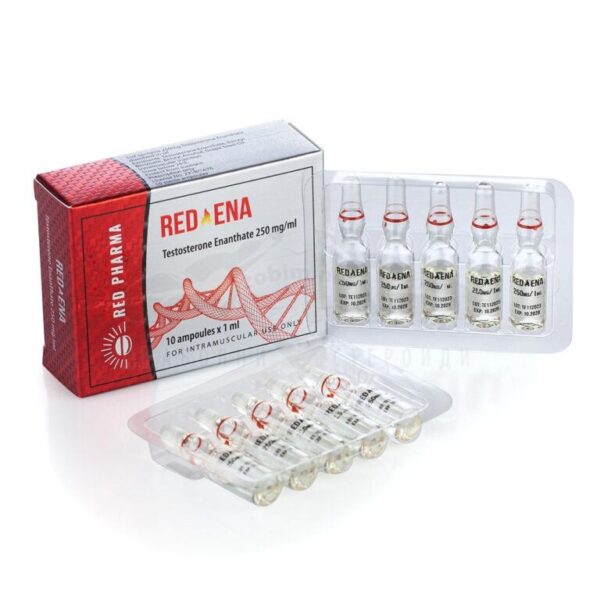 RED ENA 250 (Testosterone Enanthate) - 10 fiale x 250 mg.