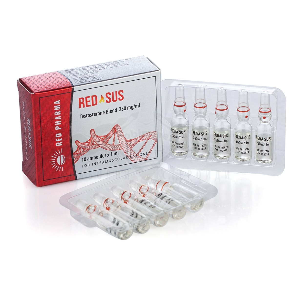 RED SUS 250 (Testosterone Blend) - 10 fiale х 250 mg. - immagine 3